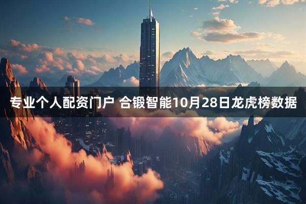 专业个人配资门户 合锻智能10月28日龙虎榜数据